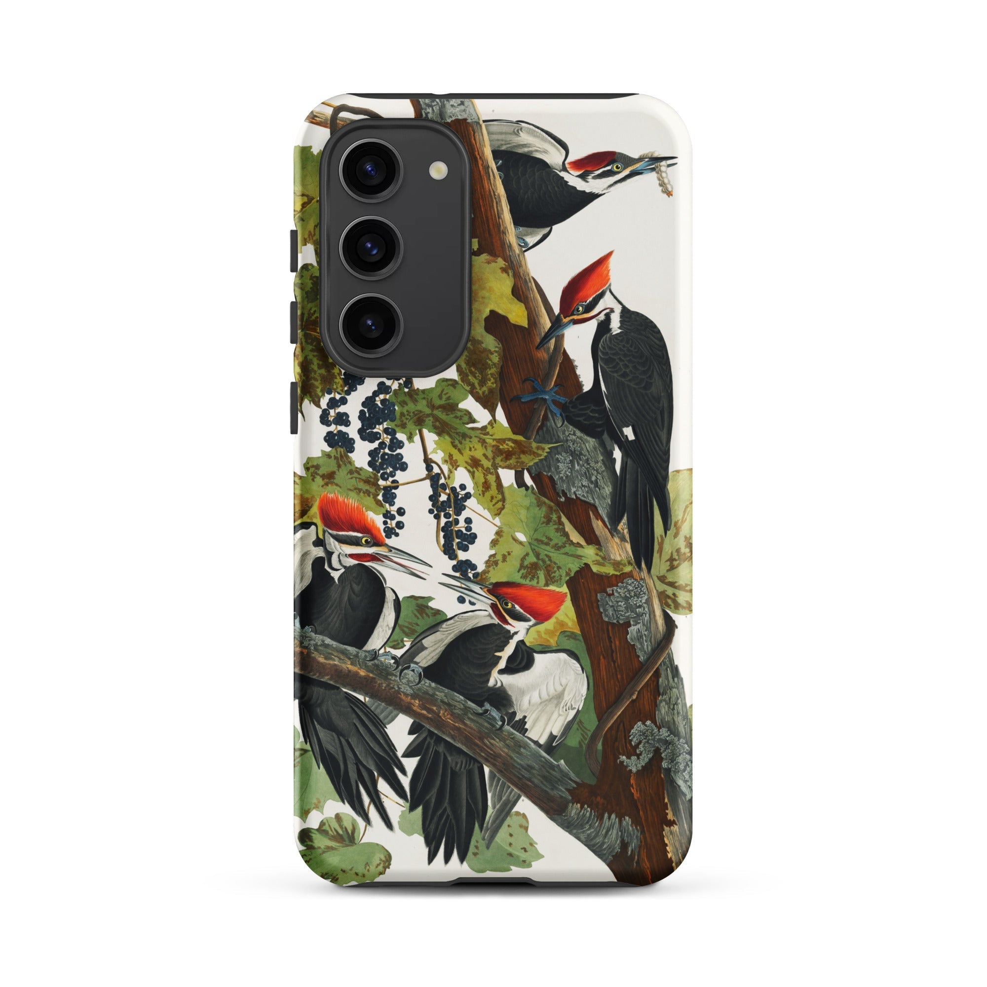 Pileated Woodpecker John James Audubon Samsung Case, Galaxy S23 Plus / Matte, Phone Case Detailed Illustration Multiple Pileated