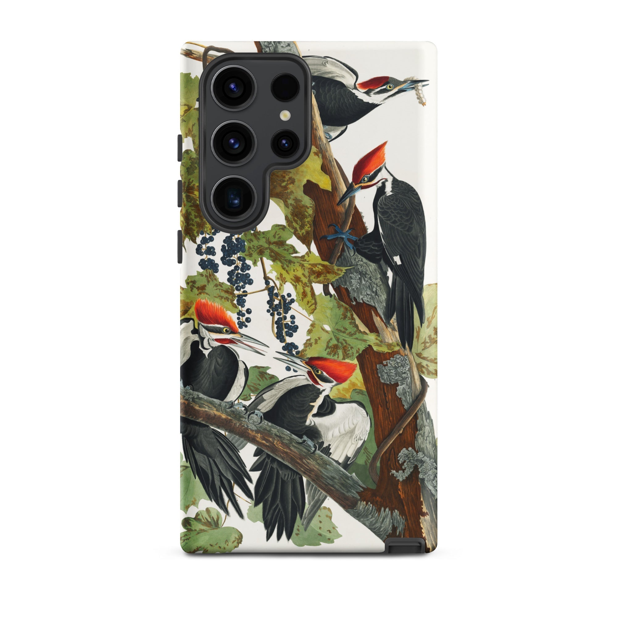 Pileated Woodpecker John James Audubon Samsung Case, Galaxy S23 Ultra / Matte, White Phone Case Detailed Illustration Multiple Black