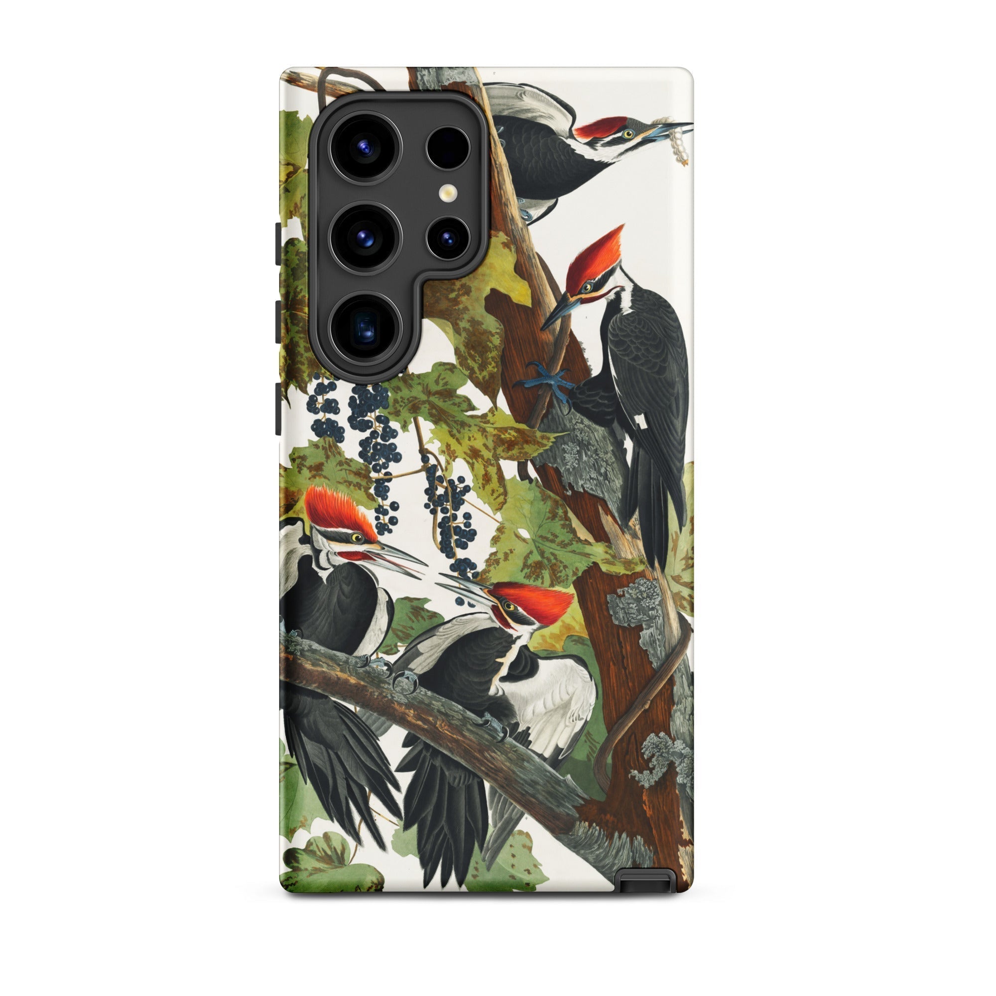 Pileated Woodpecker John James Audubon Samsung Case, Galaxy S24 Ultra / Matte, Smartphone Case Nature Themed Illustration Woodpeckers