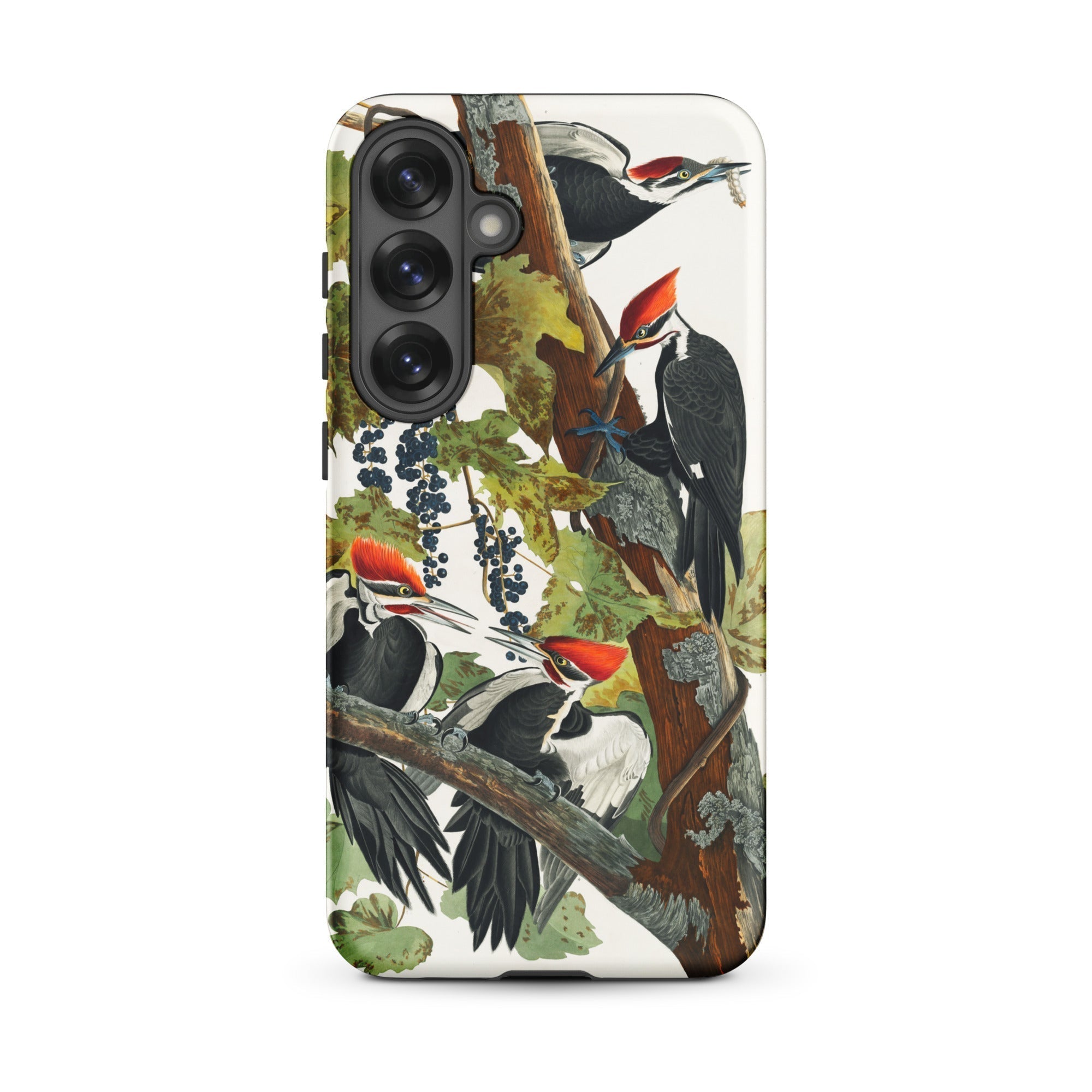 Pileated Woodpecker John James Audubon Samsung Case, Galaxy S25 Plus / Matte, Smartphone Case Illustration Woodpeckers Grapes
