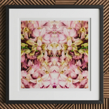 Pink Kaleidoscope - Thai Orchid Art Print, 12x12’’ / 31x31cm / Black Frame / 2’’ Matboard, Framed Piece Art Abstract Floral Pattern Shades