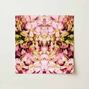 Pink Kaleidoscope - Thai Orchid Art Print / Canvas, 12x12’’ / 31x31cm / Unframed / no Border, Posters Prints & Visual Artwork, Toby Leon