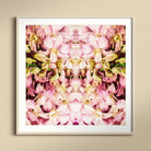 Pink Kaleidoscope - Thai Orchid Art Print Posters Prints & Visual Artwork