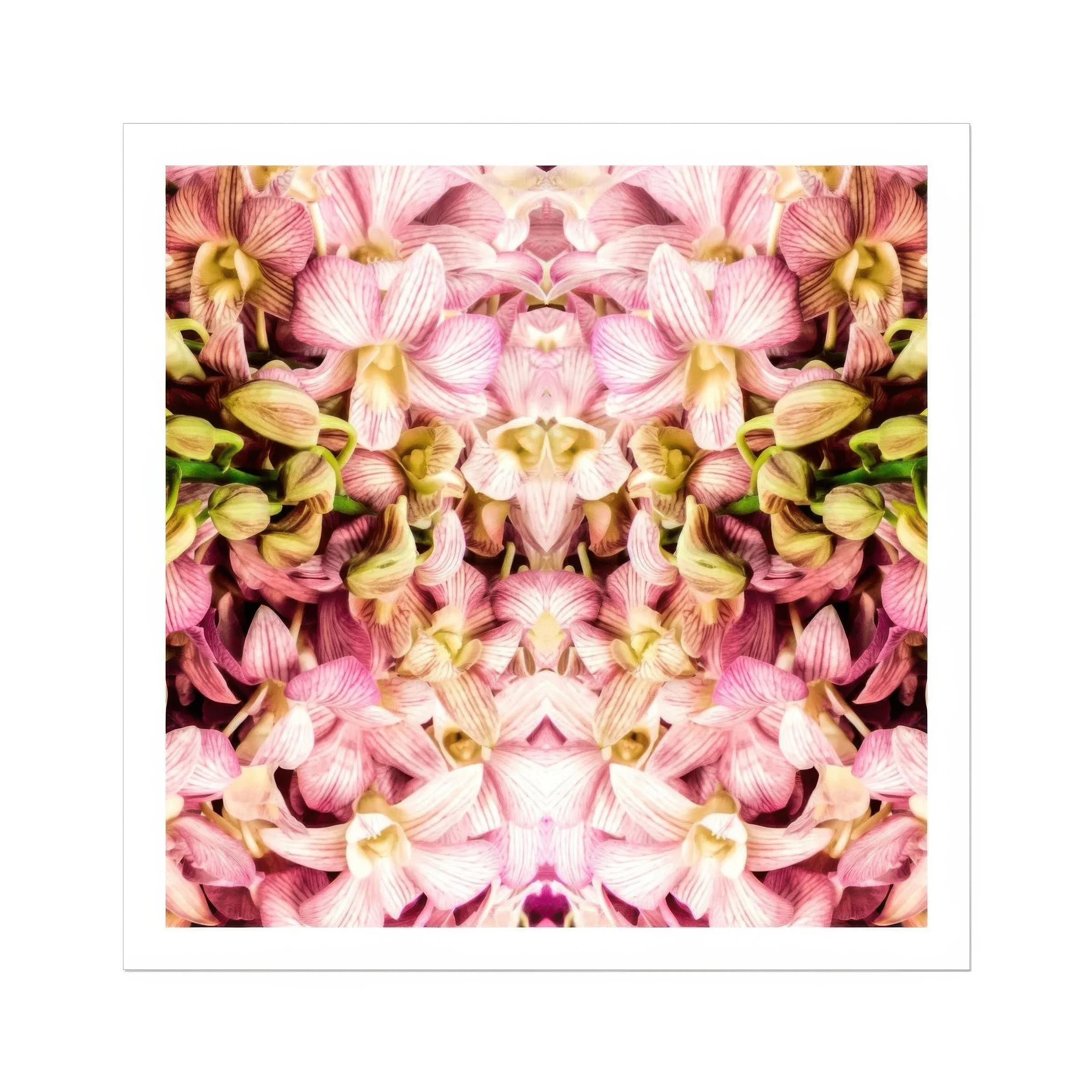 Pink Kaleidoscope - Thai Orchid Art Print