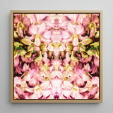 Pink Kaleidoscope - Trippy Orchid Art Framed Canvas, 12x12’’ / 31x31cm / Natural Floating Frame, Square Framed Artwork Pink Yellow Orchids