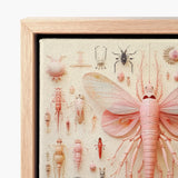 Framed Artwork Detailed Pinkish-hued Insect Specimen Translucent Wings Pink Mama Moth, Revolutionizes, Xenoentomological Art