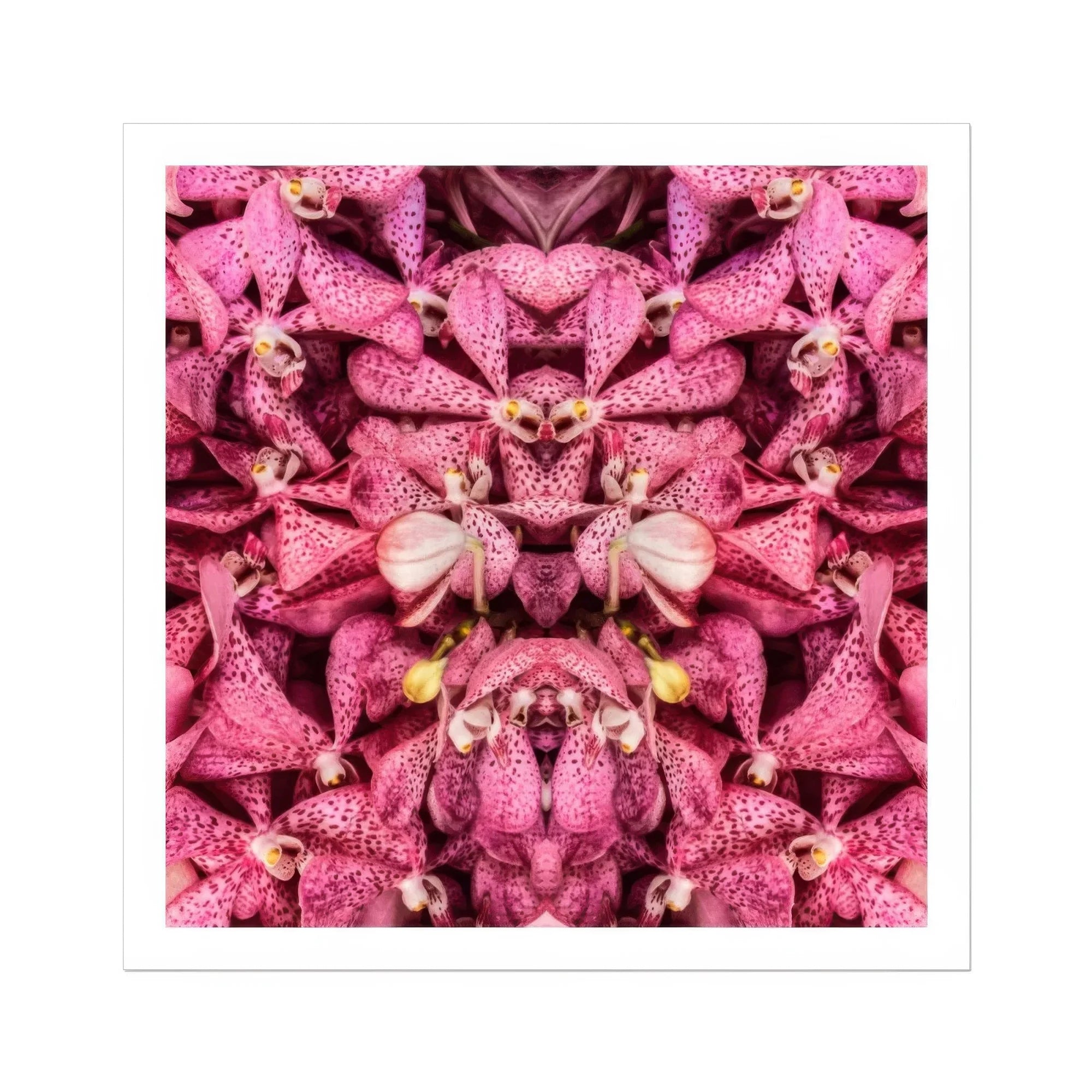 Tickled Pink - Fuschia Orchid Op Art Print Posters Prints & Visual Artwork