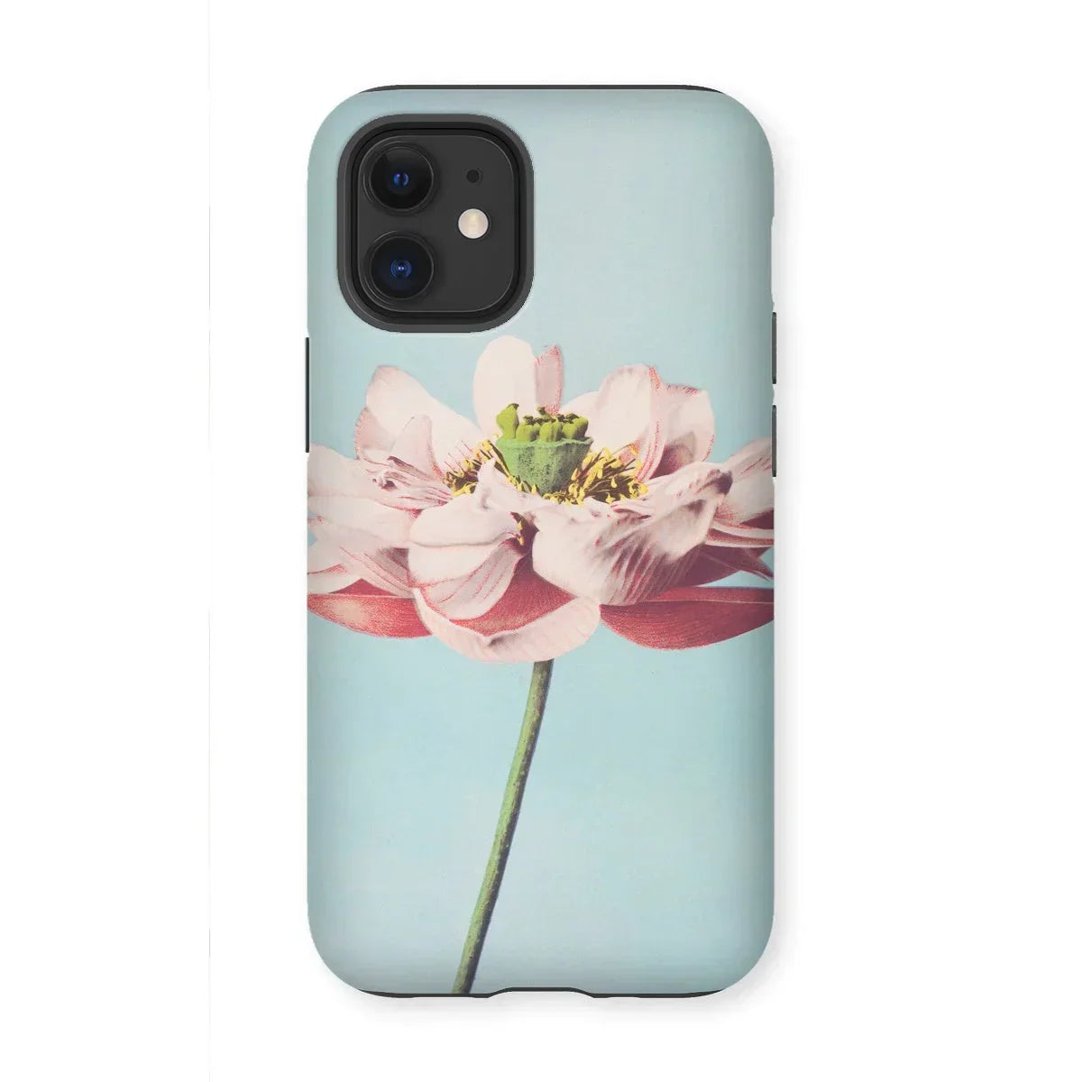 Pink Water Lily - Kazumasa Ogawa Floral Iphone Case, 12 Mini / Matte, Delicate Pink Lotus Flower Green Center Slender Stem