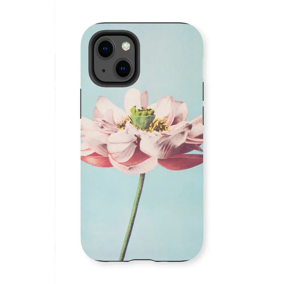 Pink Water Lily - Kazumasa Ogawa Floral Iphone Case, 13 Mini / Matte, Pink Lotus Flower Slender Green Stem Light Blue