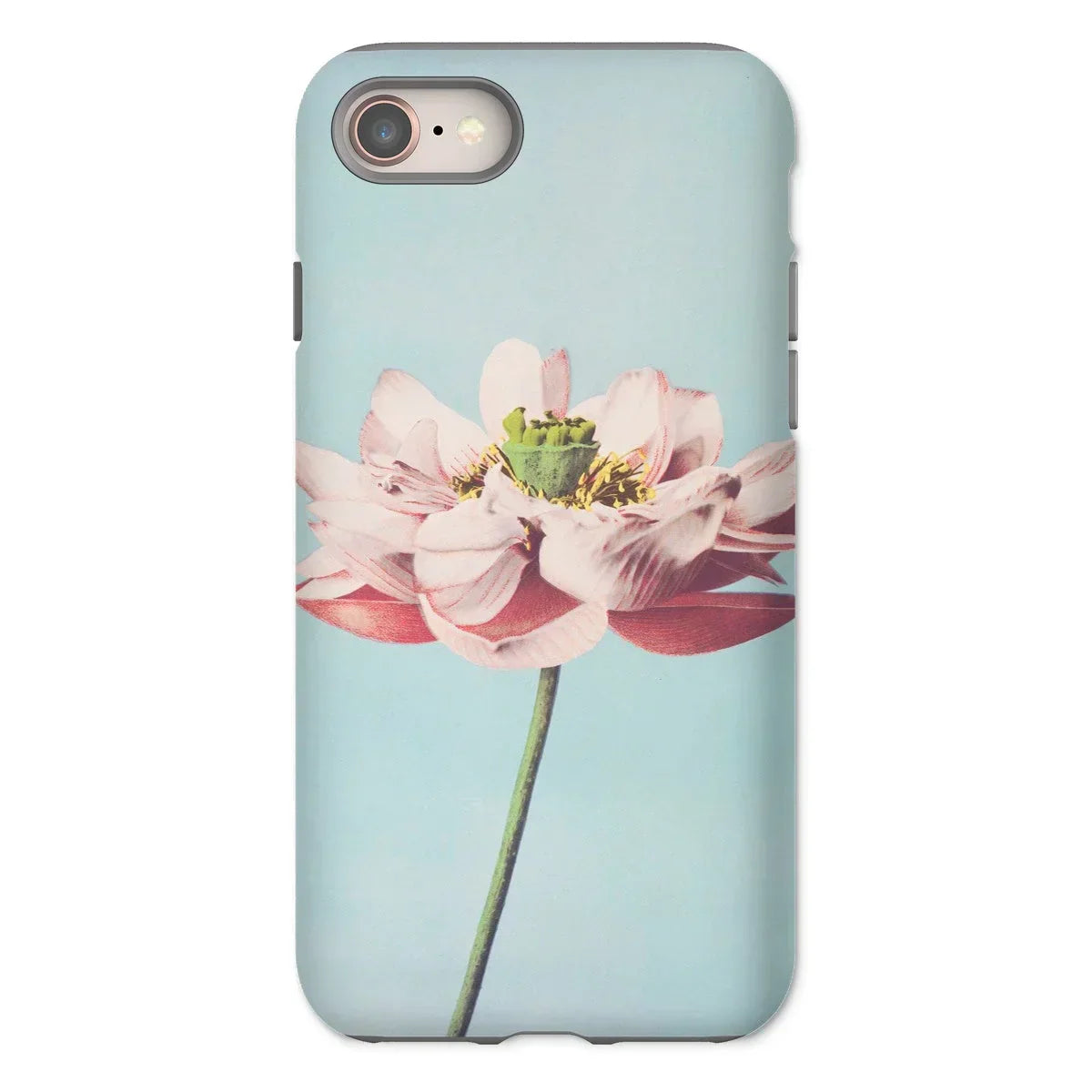 Pink Water Lily - Kazumasa Ogawa Floral Iphone Case, 8 / Matte, Iphone Case Delicate Pink Lotus Flower Light Blue