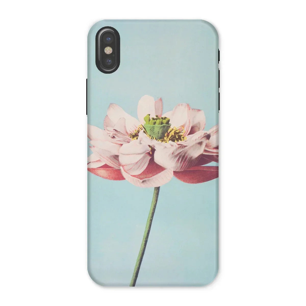 Pink Water Lily - Kazumasa Ogawa Floral Iphone Case, x / Matte, Phone Case Close-up Photograph Pink Lotus Flower