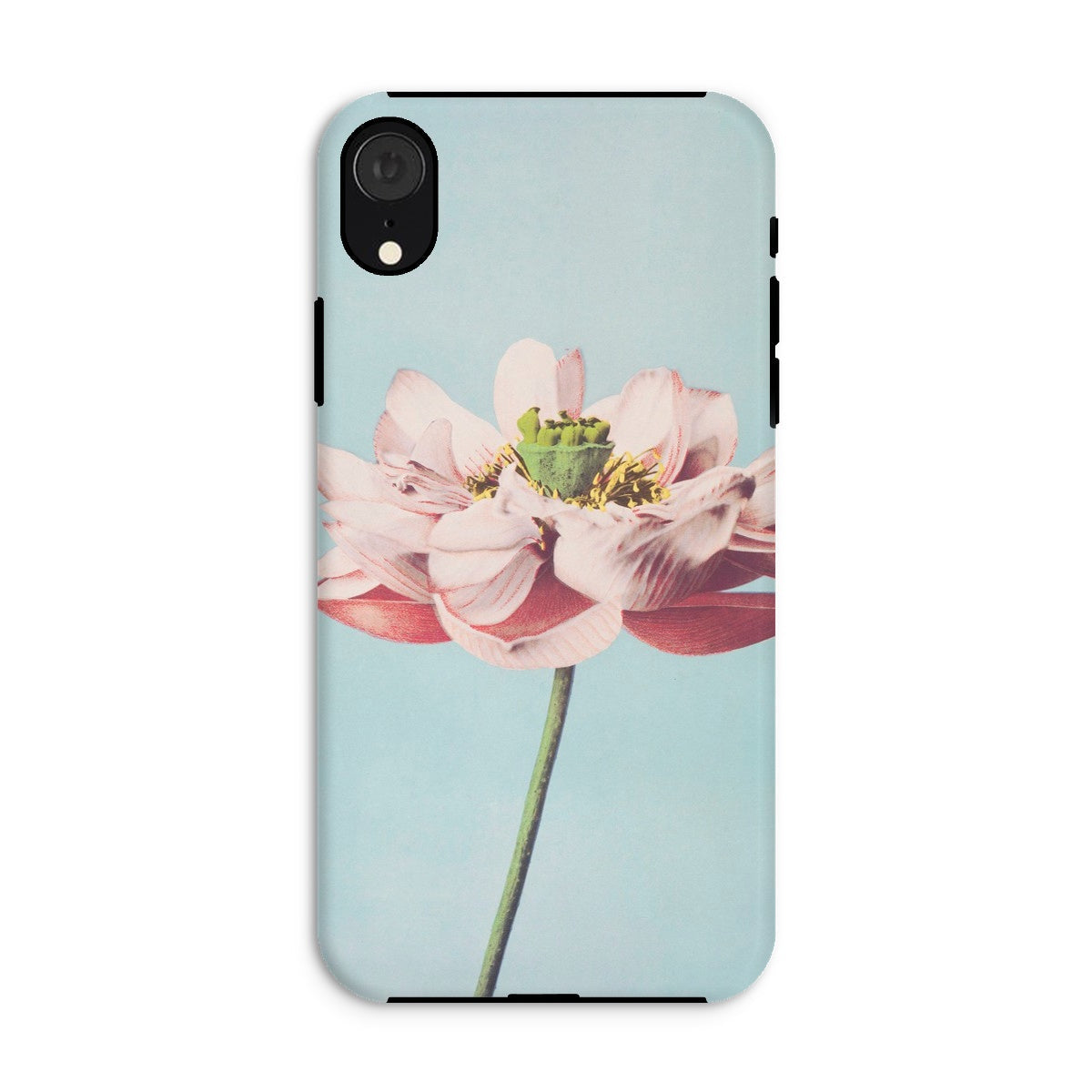 Pink Water Lily Ogawa Kazumasa Floral Iphone Case, Xr / Matte, Phone Case Close Up Photograph Pink Lotus Flower