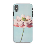 Pink Water Lily - Ogawa Kazumasa Floral Iphone Case, Xs Max / Matte, Phone Case Close-up Photograph Pink Lotus Flower Light