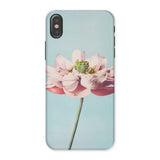 Pink Water Lily - Ogawa Kazumasa Floral Phone Case Iphone x / Matte Phone Case Close-up Photograph Pink Lotus Flower Kazumasa Ogawa, Modern