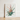 Framed Botanical Illustration Vibrant Bromeliad Plant Green Leaves Pierre-joseph Redouté Print, Bromelia Pinguin