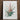 Framed Botanical Illustration Bromeliad Plant Green Leaves Pinkish-red Pierre-joseph Redouté Print, Bromelia Pinguin