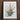 Framed Botanical Illustration Bromeliad Plant Green Leaves Pinkish-red Pierre-joseph Redouté Print, Bromelia Pinguin