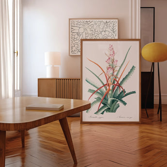 Piñuela - Pierre-joseph Redouté Floral Succulent Art Print, Framed Botanical Print Colorful Plant Green Leaves Pink