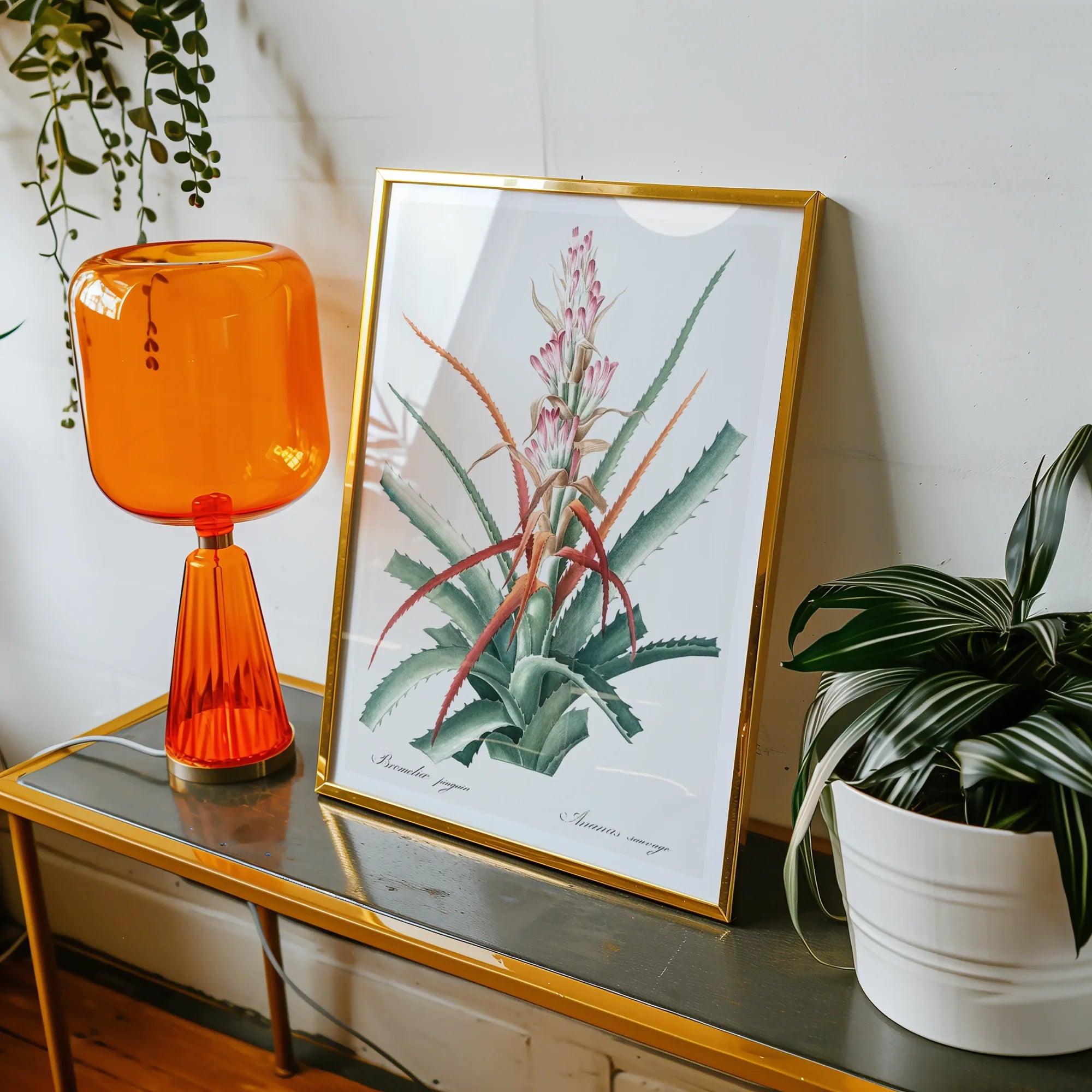 Piñuela - Pierre-joseph Redouté Floral Succulent Art Print, Framed Botanical Watercolor Painting Plant Long Leaves