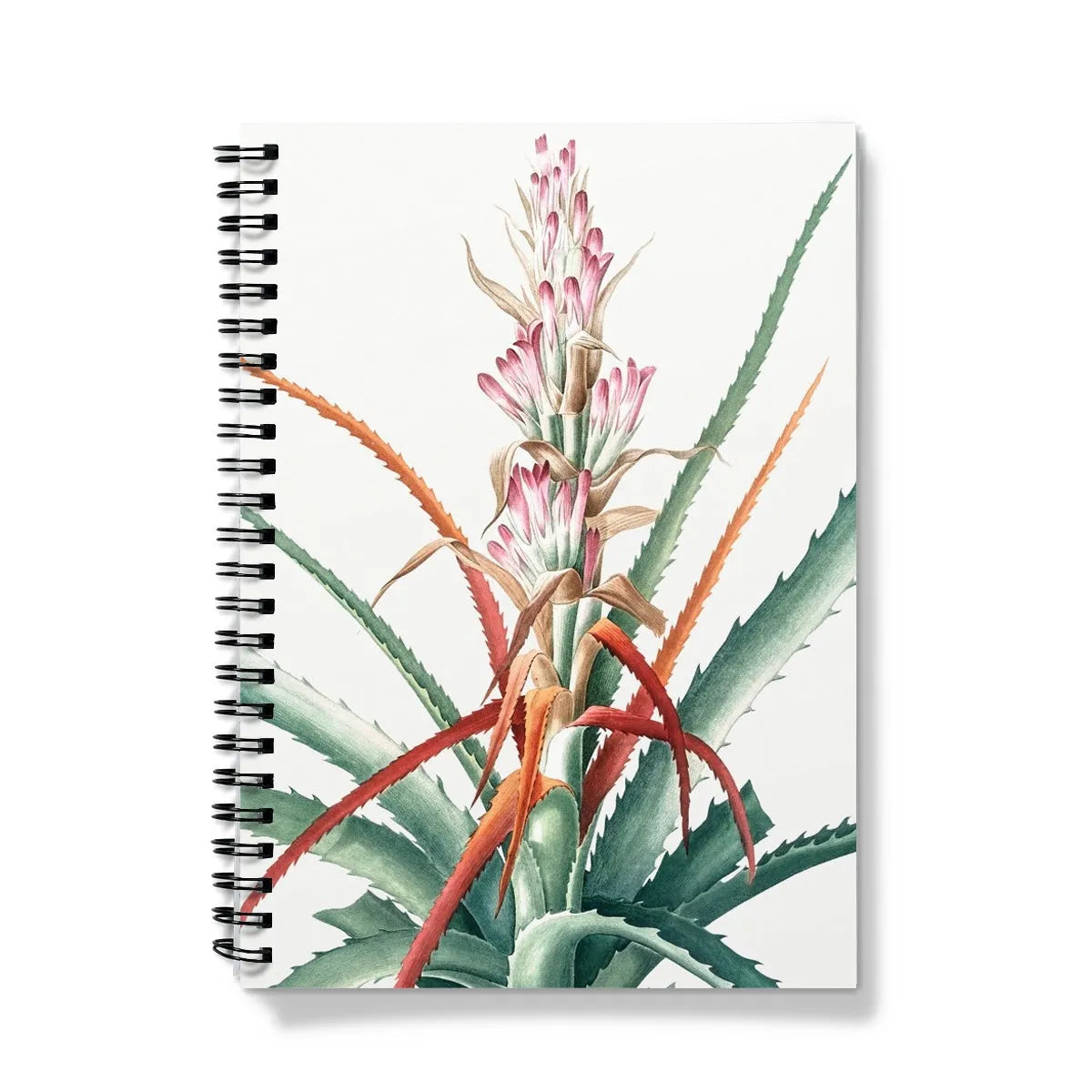 Piñuela By Pierre-joseph Redouté Notebook - A5 / Graph - Notebooks & Notepads - Aesthetic Art