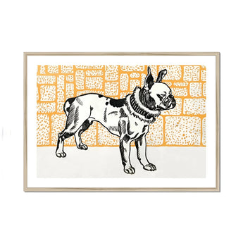 Pitbull - Moriz Jung Vintage Dog Illustration Art Print, Black White Illustration French Bulldog Collar
