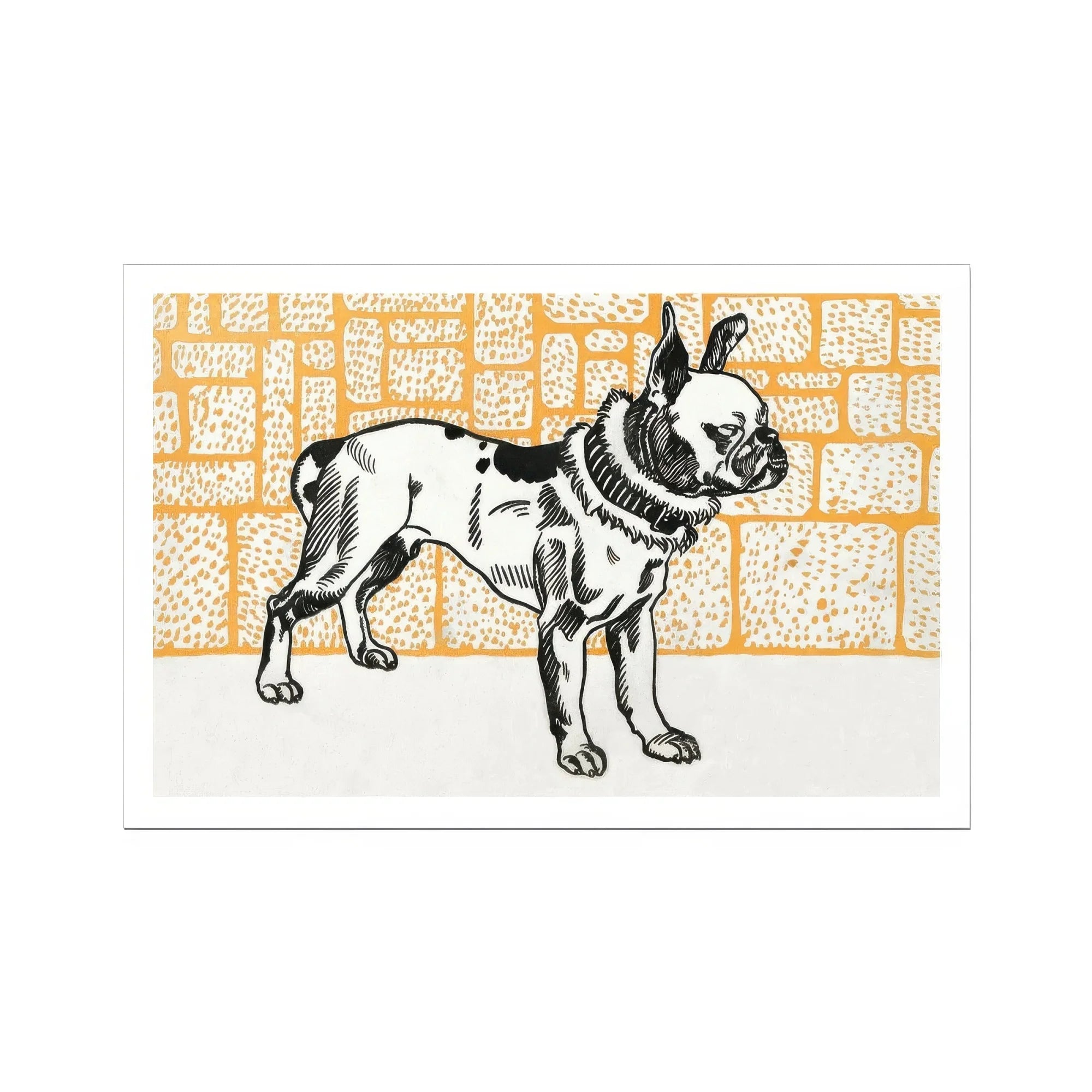 Pitbull - Moriz Jung Vintage Dog Illustration Art Print, Black White Illustration French Bulldog Collar