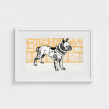 Pitbull - Moriz Jung Vintage Dog Illustration Art Print / Canvas Framed Black White French Bulldog Orange Brick, Jung’s Terrier,