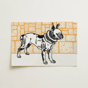 Pitbull - Moriz Jung Vintage Dog Illustration Art Print / Canvas, 18x12’’ / 46x31cm / Unframed / no Border, Posters Prints & Visual