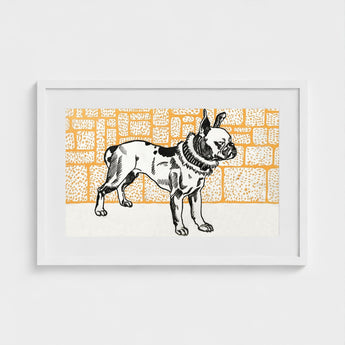 Pitbull - Moriz Jung Vintage Dog Illustration Art Print / Canvas Framed Black-and-white French Bulldog Orange Brick Wall, Jung’s Terrier,