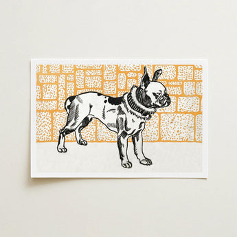 Pitbull - Moriz Jung Vintage Dog Illustration Art Print / Canvas Black White Illustrated French Bulldog Collar Stands Orange, Jung’s