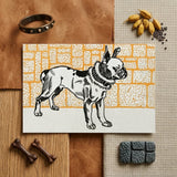 Pitbull - Moriz Jung Vintage Dog Illustration Art Print / Canvas Black-and-white Illustrated French Bulldog Card Orange White Textured,