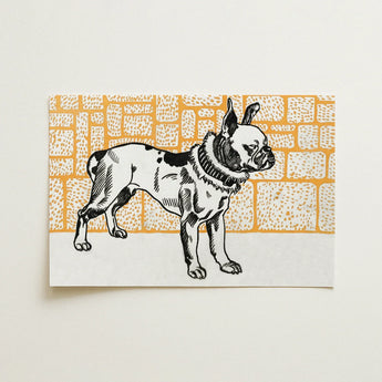 Pitbull - Moriz Jung Vintage Dog Illustration Art Print / Canvas Black-and-white Illustrated French Bulldog Collar Printed Rectangular Card