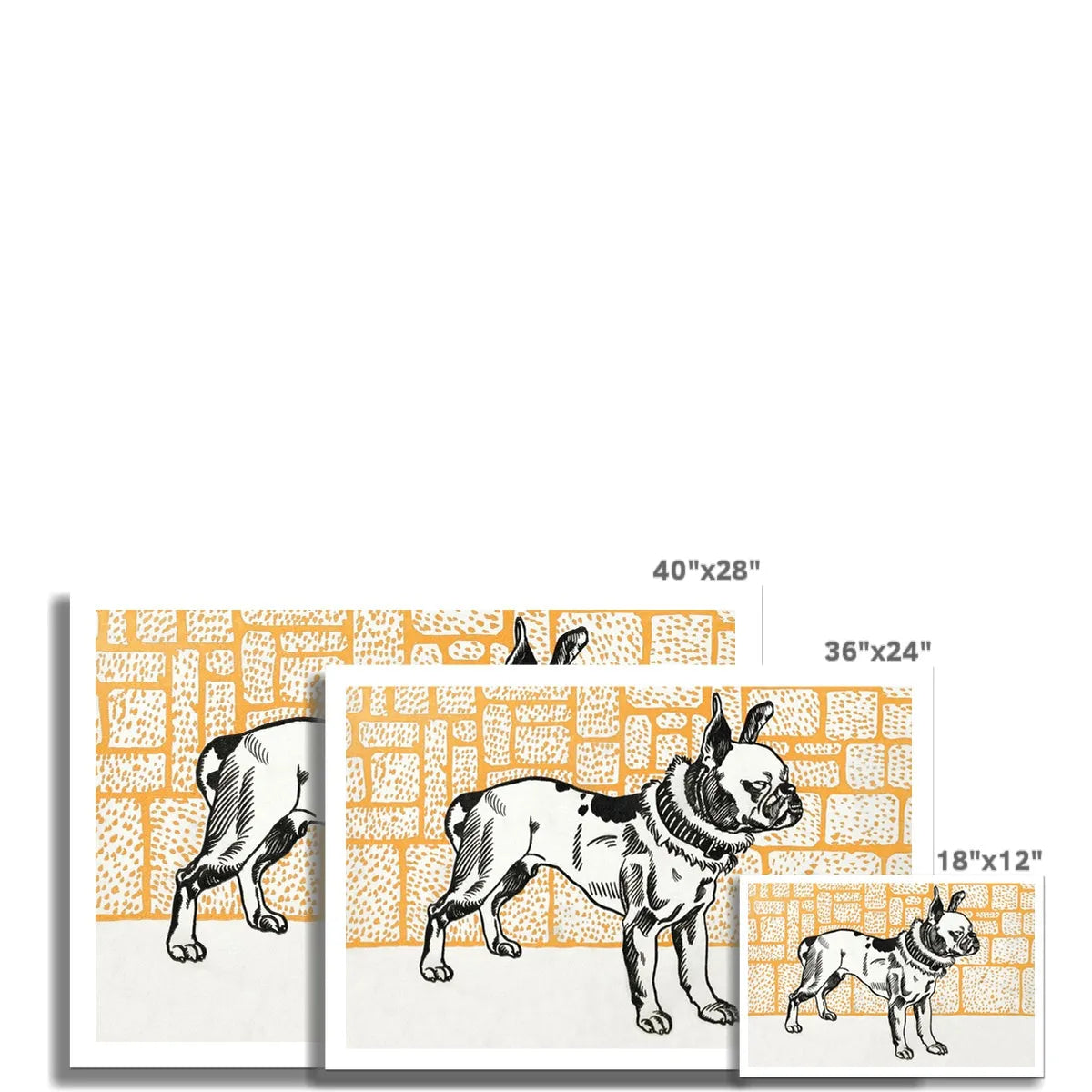 Pitbull Terrier By Moriz Jung Fine Art Print - Posters Prints & Visual Artwork - Aesthetic Art