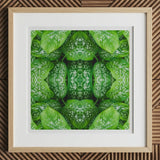 Pitter Splatter - Tropical Leaf Op Art Print, 12x12’’ / 31x31cm / Natural Frame / 2’’ Matboard, Framed Piece Art Symmetrical Pattern