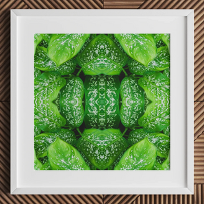 Pitter Splatter - Tropical Leaf Op Art Print