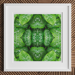 Pitter Splatter - Tropical Leaf Op Art Print, 12x12’’ / 31x31cm / White Frame / 2’’ Matboard, Framed Symmetrical Pattern Green Leaves Water