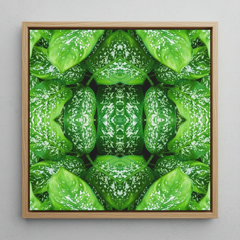 Pitter Splatter - Tropical Leaf Op Art Print / Canvas, 12x12’’ / 31x31cm / Natural Frame, Posters Prints & Visual Artwork, Toby Leon