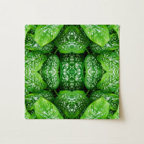 Pitter Splatter - Tropical Leaf Op Art Print / Canvas, 12x12’’ / 31x31cm / Unframed / no Border, Posters Prints & Visual Artwork, Toby Leon
