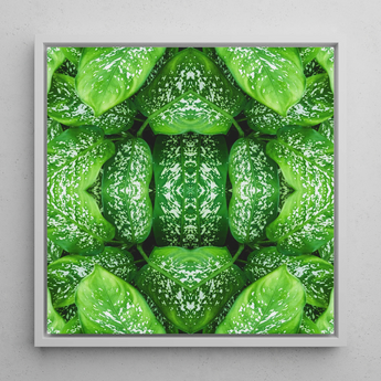 Pitter Splatter - Tropical Leaf Op Art Print / Canvas, 12x12’’ / 31x31cm / White Frame, Posters Prints & Visual Artwork, Toby Leon