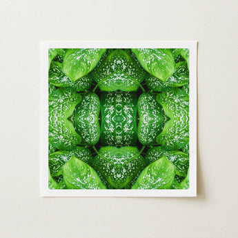 Pitter Splatter - Tropical Leaf Op Art Print / Canvas Framed Square Symmetrical Kaleidoscopic Pattern Vibrant Green, Prints