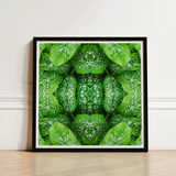 Framed Artwork Symmetrical Kaleidoscopic Pattern Vibrant Green Leaves Pitter Splatter Tropical, Leaf, Art