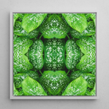 Pitter Splatter - Tropical Leaf Op Art Print / Canvas Framed Square Artwork Symmetrical Kaleidoscopic Pattern Vibrant Green Pitter Splatter