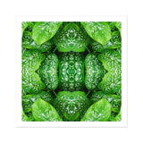 Pitter Splatter - Tropical Leaf Op Art Print / Canvas Kaleidoscopic Pattern Created Repeated Wet Lettuce Leaves Pitter Splatter Tropical,