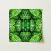 Square Canvas Print Symmetrical Kaleidoscopic Pattern Vibrant Green Pitter Splatter Tropical, Leaf, Art