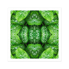 Pitter Splatter - Tropical Leaf Op Art Print