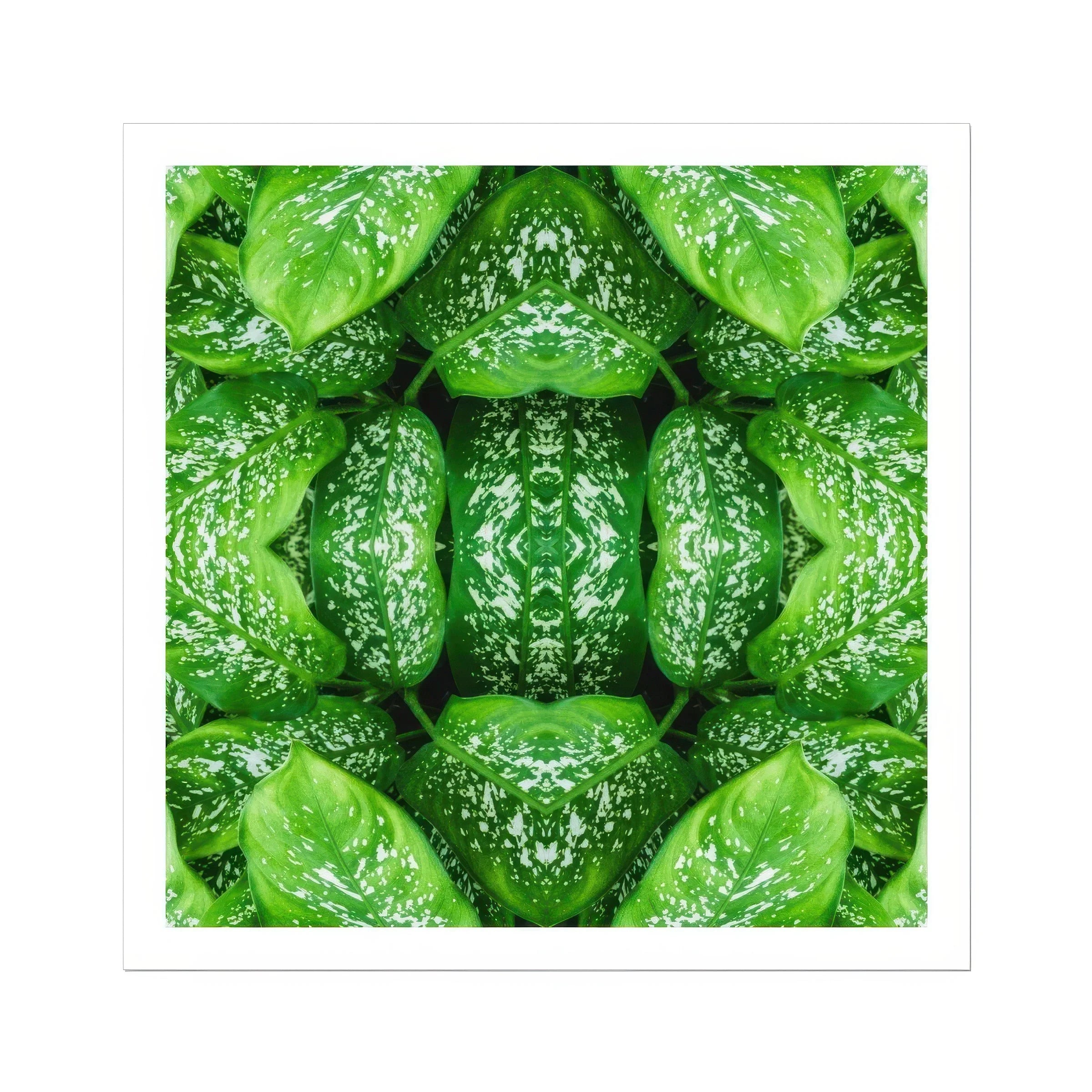 Pitter Splatter - Tropical Leaf Op Art Print