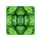 Pitter Splatter - Tropical Leaf Op Art Print Posters Prints & Visual Artwork