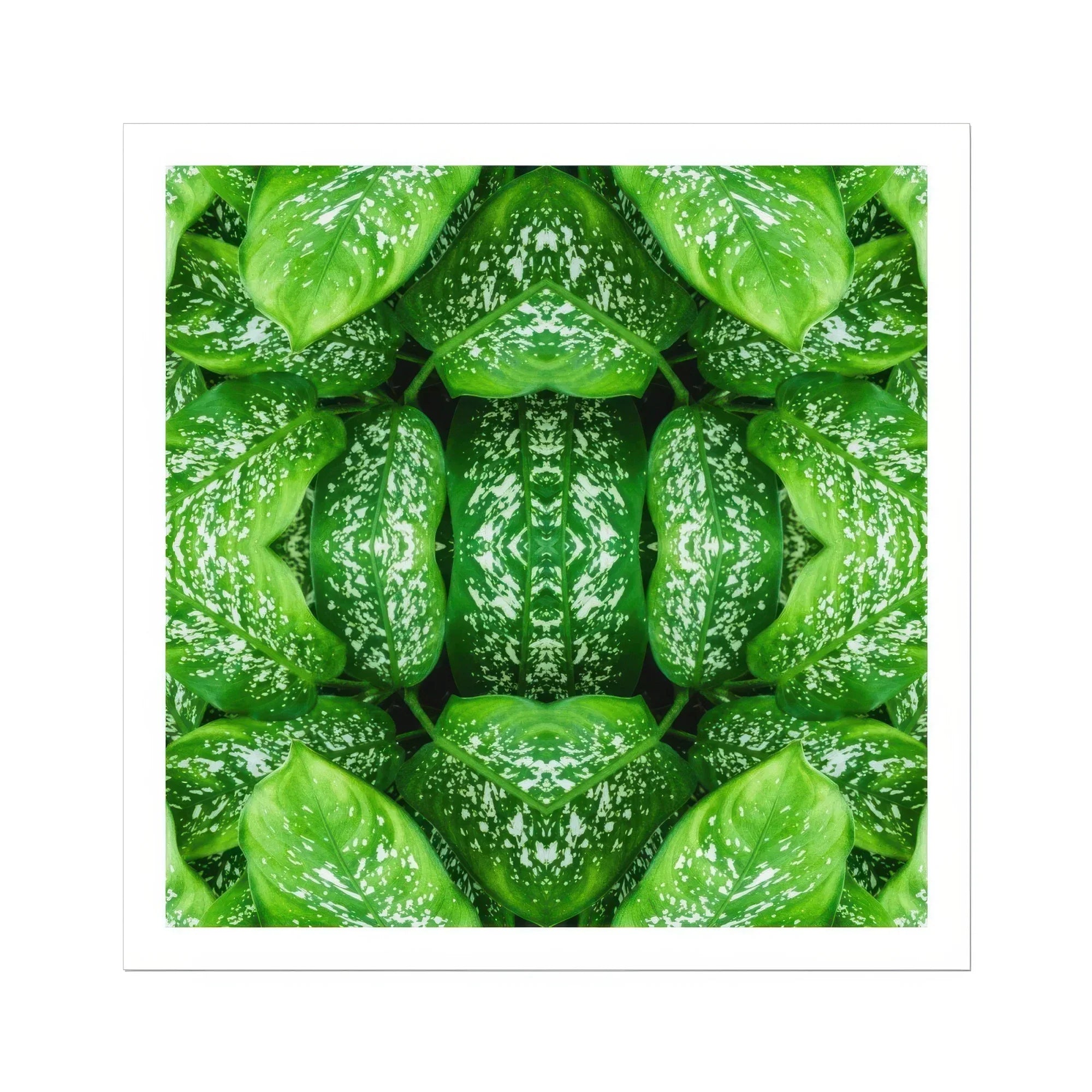 Pitter Splatter - Tropical Leaf Op Art Print Posters Prints & Visual Artwork