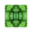 Pitter Splatter Tropical Leaf Op Art Print, Kaleidoscopic Pattern Created Repeated Wet Lettuce Leaves