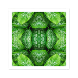 Pitter Splatter - Tropical Leaf Op Art Print, Kaleidoscopic Pattern Created Repeated Wet Lettuce Leaves